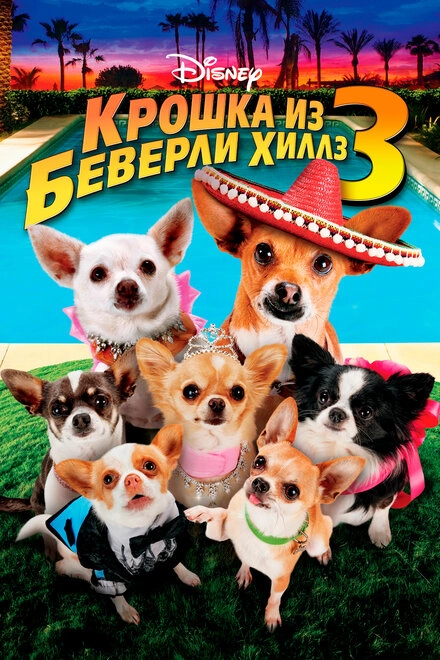 Постер к Крошка из Беверли-Хиллз 3
