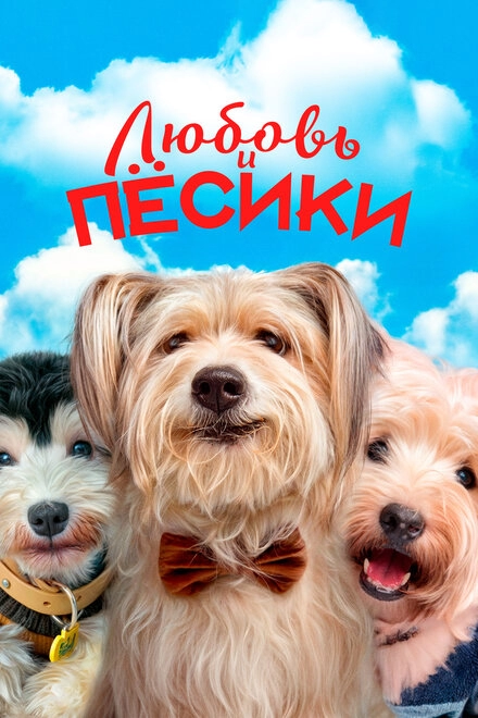 Постер к Любовь и пёсики