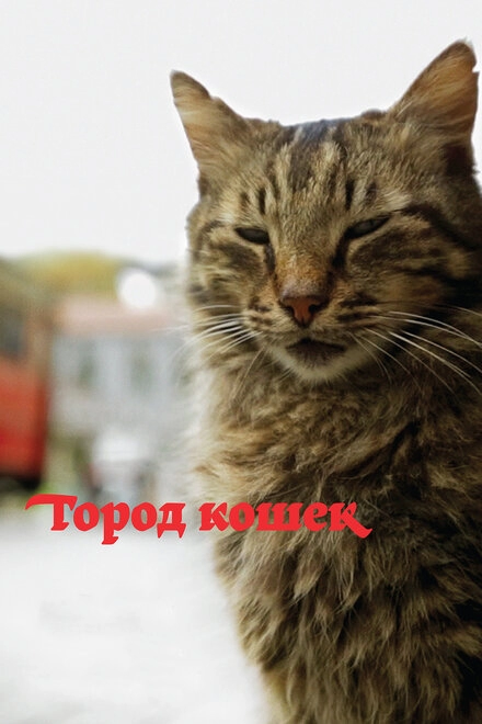 Постер к Город кошек