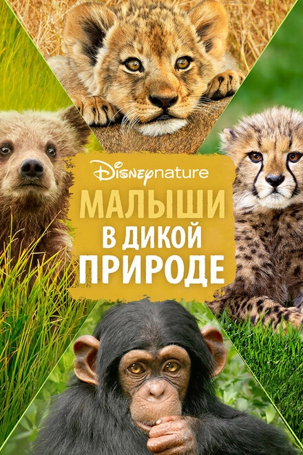 Постер к Малыши в дикой природе