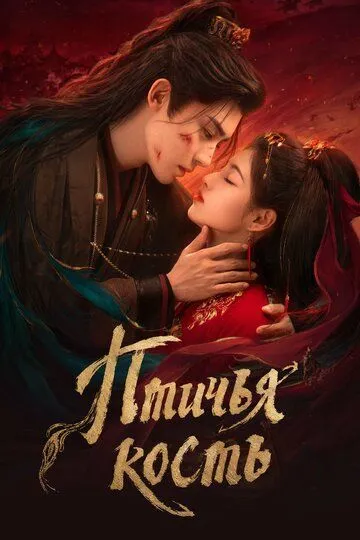 Постер к Птичья кость