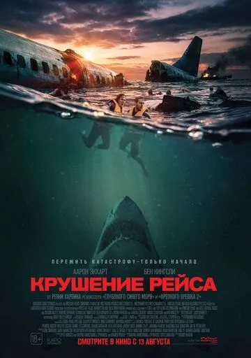 Постер к Крушение рейса
